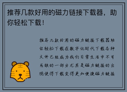 推荐几款好用的磁力链接下载器，助你轻松下载！